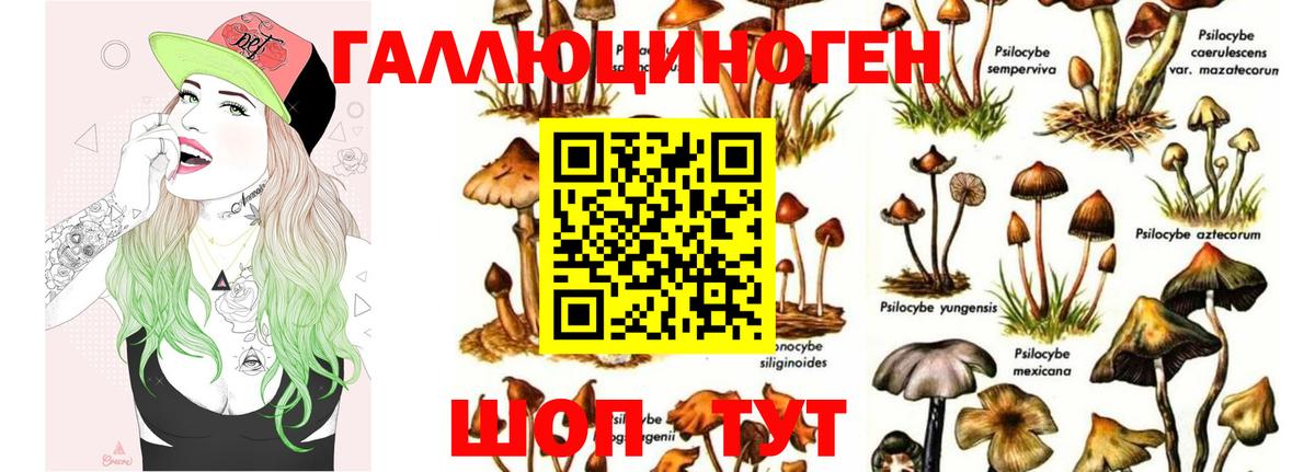 Меф МЯУ МЯУ кристаллы  Кодеин  Экстази  Татарск  МЕТ  ГАШ  Марихуана  NBOMe  Вход с VPN  MDMA  ГАШИШ  Alpha PVP СОЛЬ кристаллы 