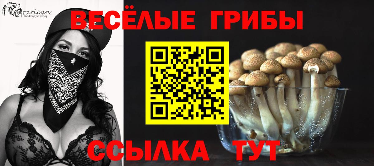 Татарск  Псилоцибиновые грибы Psilocybe  Вход с VPN  Псилоцибиновые грибы MAGIC MUSHROOMS 